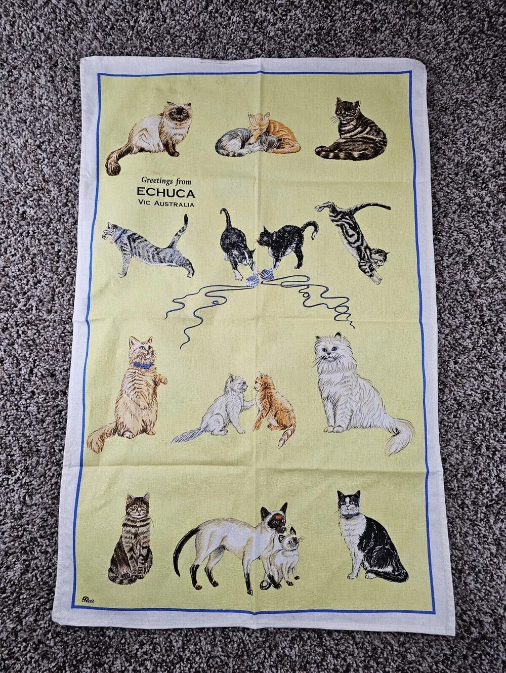 Greetings from Echuca Vic AustraliaSouvenir Teal Towel Linen Cat Print